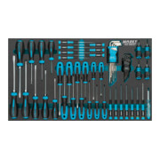 HAZET Set di cacciaviti 163-480/57, profilo a intaglio, profilo con intaglio a croce PH, profilo a esagono interno, profilo TX interno, 57pz.-1
