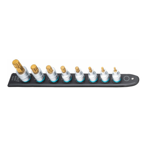 HAZET SmartRail ∙ Flexibele kunststof opsteekstrip 990-SR/8 ∙ Vierkant hol 12,5 mm (1/2 inch) ∙ Binnenveeltandprofiel XZN ∙ M5 ∙ M6 ∙ M8 ∙ M10 ∙ M12 ∙ M14 ∙ M16 ∙ M18 ∙ Aantal gereedschappen: 8