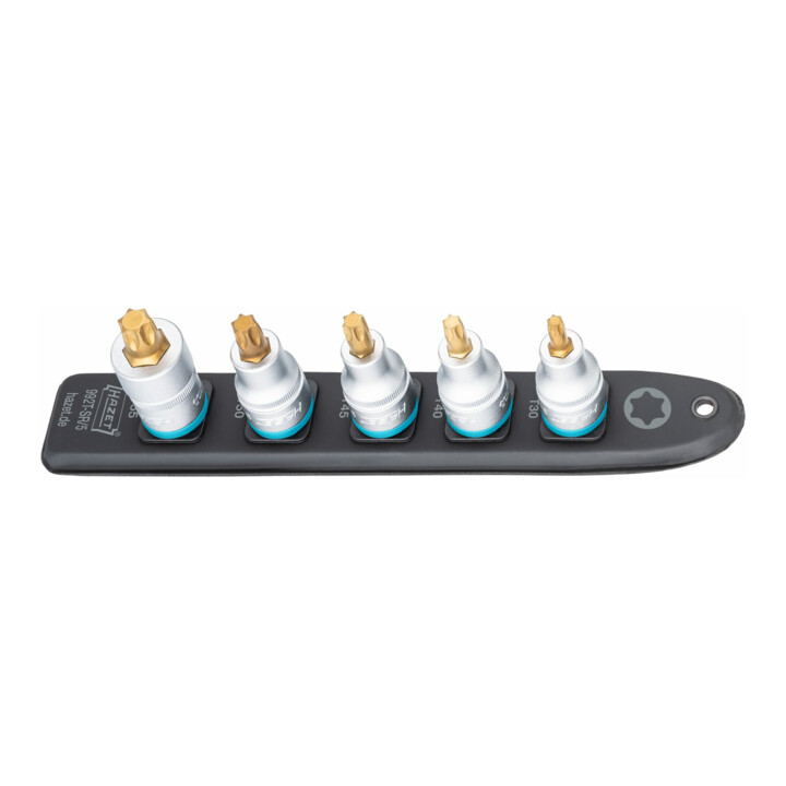 HAZET SmartRail ∙ Flexibele kunststof opsteekstrip 992T-SR/5 ∙ Vierkant hol 12,5 mm (1/2 inch) ∙ Binnen-TX®-profiel ∙ T30 ∙ T40 ∙ T45 ∙ T50 ∙ T55 ∙ Aantal gereedschappen: 5