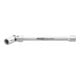 HAZET Steckschlüssel-Einsatz TX 850LG-GE10-1