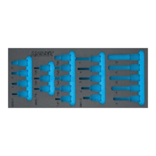 HAZET Weichschaumeinlage 163-571L leer 392 x 172 mm