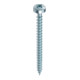 Heco FIX-plus 3,0 x 10 Rundkopf Pozi-Drive VG A2K-1