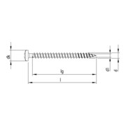 HECO-FIX-plus 3,0 x 10, tête ronde, Pozi-Drive, FT, A2K, 1000 pcs.-3