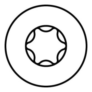 HECO HECO-TOPIX-plus Testa svasata, HECO-Drive, TG, A3L