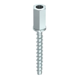 Heco MULTI-MONTI-plus I 10,0 x 75 Innengewindeanker Sechskant A2K