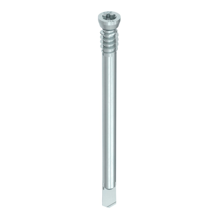HECO Stabdübel WS-T, Zylindersenkkopf, T-Drive, UK-Gewinde, verzinkt blau, A2K, gleitbeschichtet
