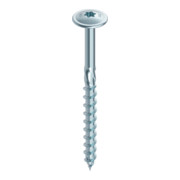 Heco TOPIX Tellerkopf T-Drive TG A2F