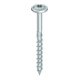 HECO-TOPIX-plus 8,0 x 160, testa a disco, T-Drive, TG, A3K