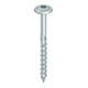 HECO-TOPIX-plus 8,0 x 300, tête ronde large, T-Drive, FP, A3K, 50 pcs. (HTP-T-FH-PT-8,0x300/100)