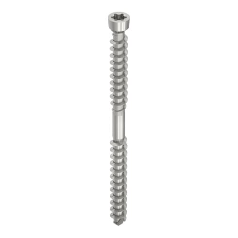 HECO Zylindersenkkopf WT-S A2 6,5 x 65, T-Drive, UK-Gewinde, W15