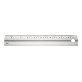 Helios Preisser LM-Maßstab 600mm