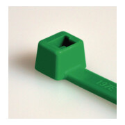 HellermannTyton Colliers de serrage 2,5x100 vert T18R-N66-GN-C1-1