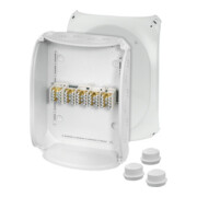 Hensel Boîte de dérivation câble 25qmm, 3 phases DK 3525 S-2