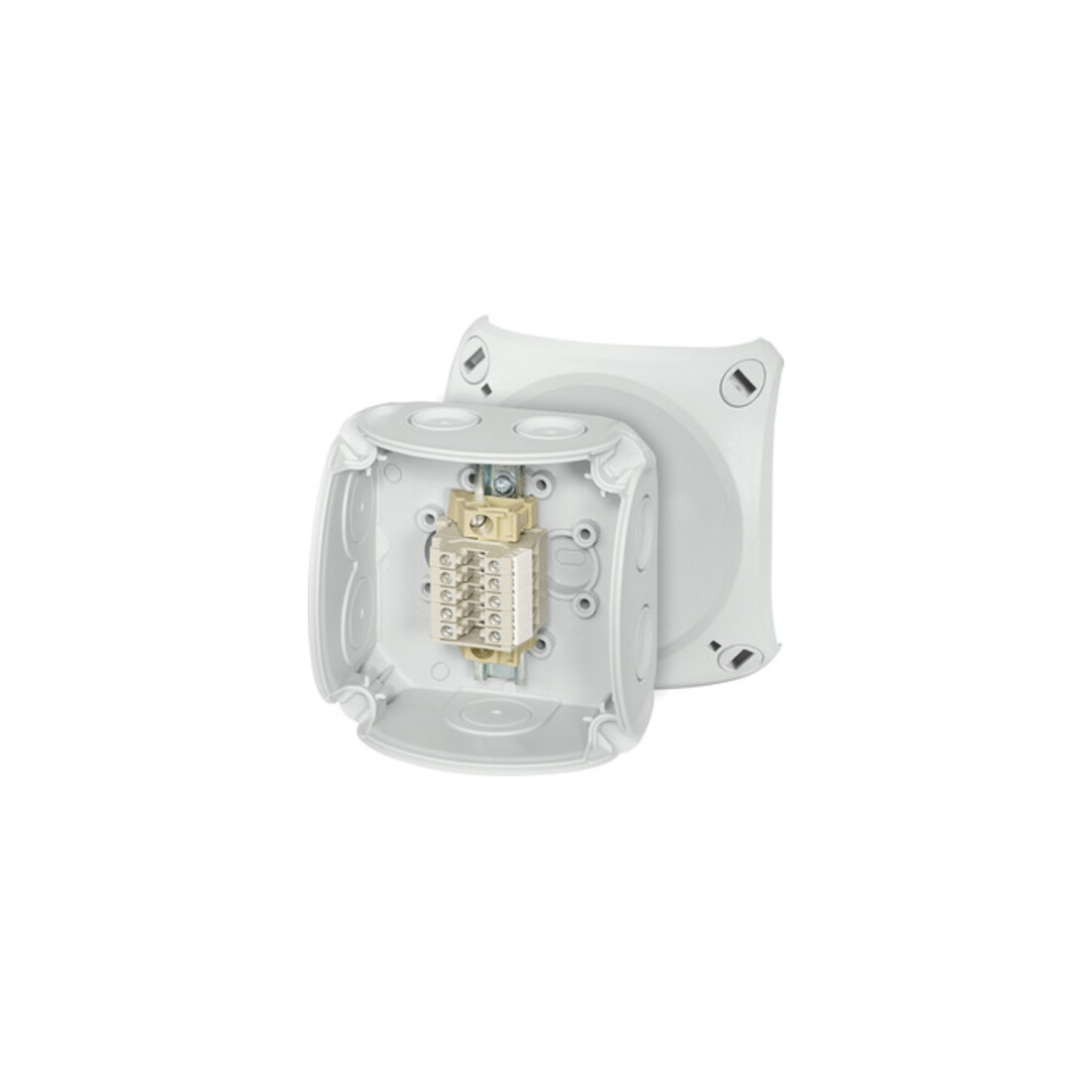 Hensel Boîtier de bornes en rangée 5 bornes 2,5 mm² RK 0205 T