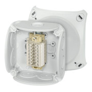 Hensel Boîtier de borniers en rangée 1,5-2,5 mm², 7 borniers RK 0207 T-2