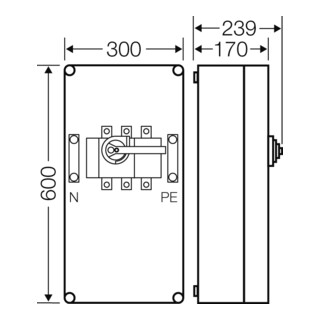 Hensel Boîtier d'interrupteur-sectionneur 250A 3p.+PE+N Mi 7455