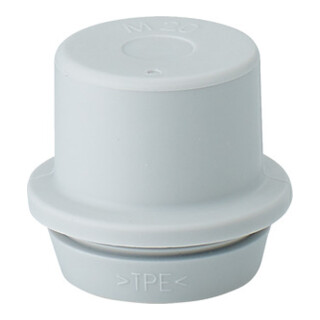 Hensel Manchon d’emboîtement IP55 ESM 20