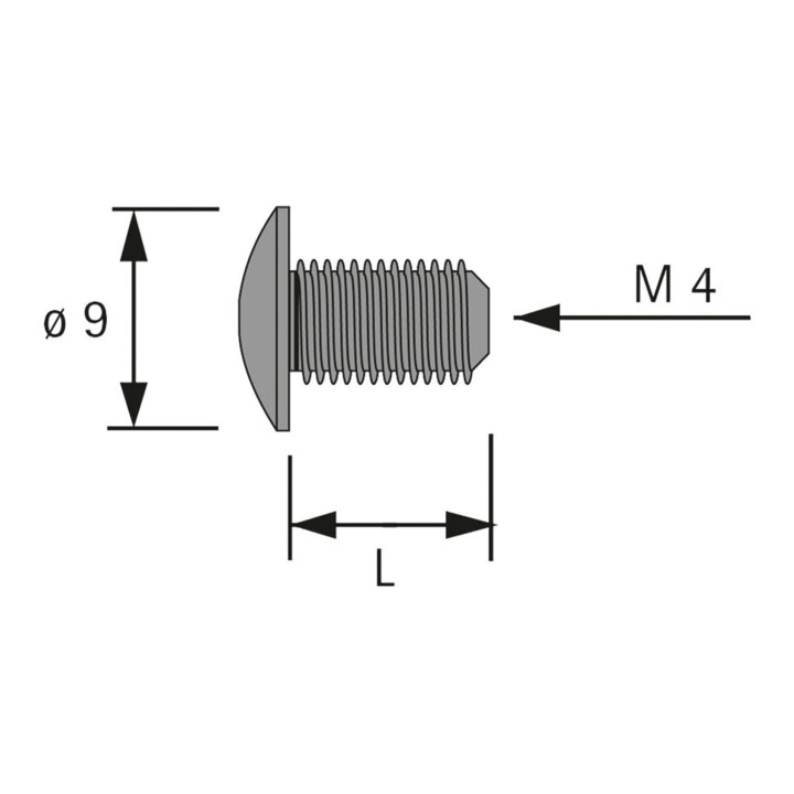 Hettich Gewindehülse-Endschraube M4, 8mm PZ-Kreuzschlitz, 79525 Stahl, vernickelt
