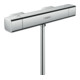 hansgrohe Brausethermostat Ecostat E 306x96mm, AP, 1 Verbraucher, chrom-1