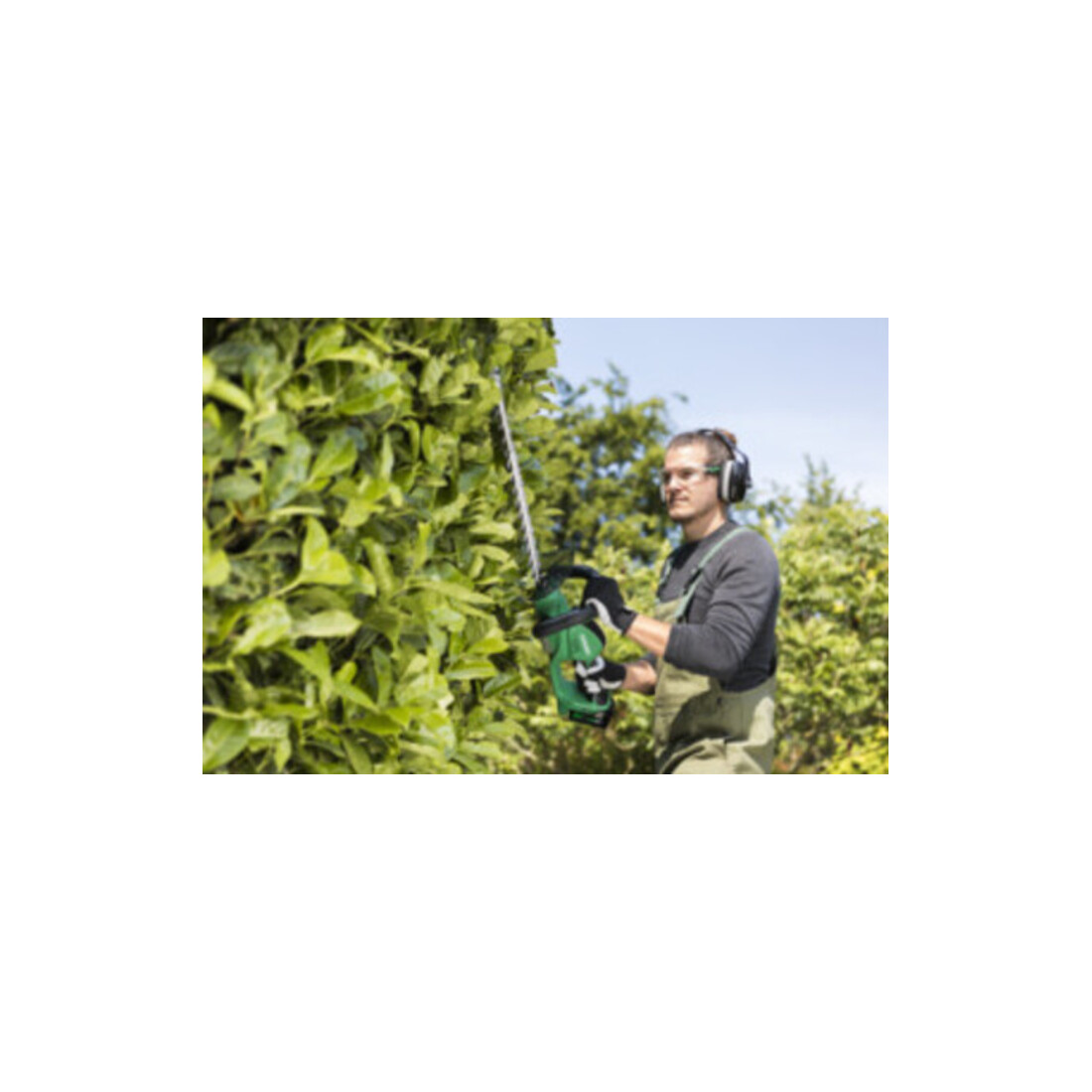 HiKOKI Akku-Heckenschere 36V CH3656DA  (Basic)