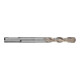 HiKOKI HM-Hammerbohrer SDS-Plus 2-Schneider 10 x 100/160 mm