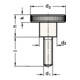 Hohe Rändelschraube DIN 464 d1 M 5mm d2 20mm d3 10mml 20mm STA GANTER-4
