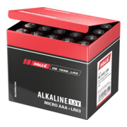 HOLEX Alkali-mangaanbatterijen, Internationaal type: LR3