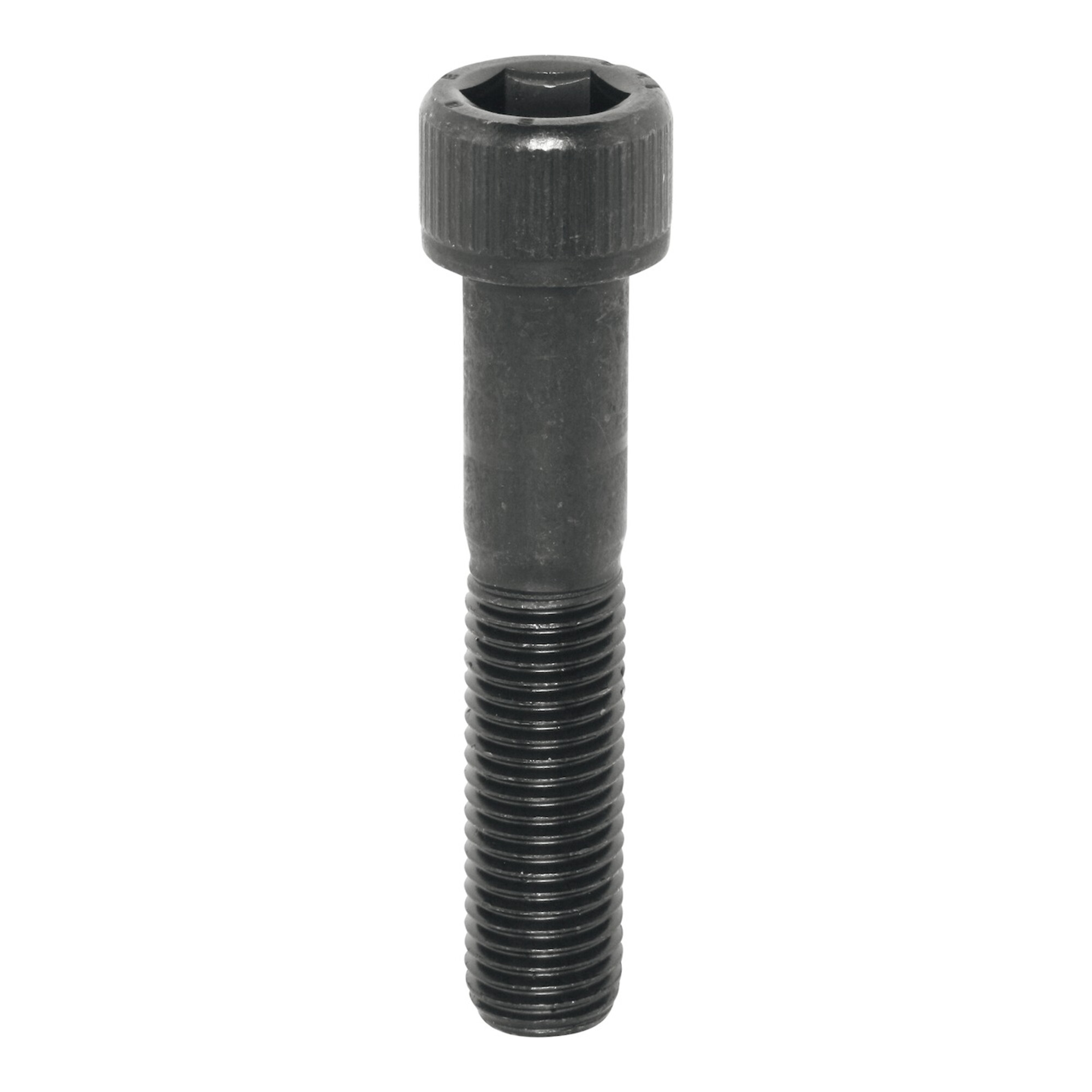 HOLEX Anzugsschraube für Verlängerung 45 mm Ø 40 mm