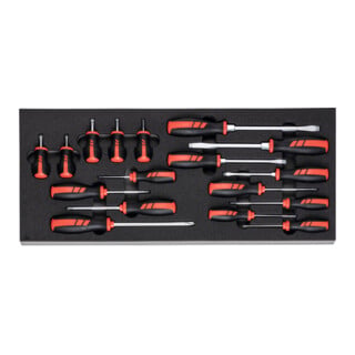 Holex Assort . MOUSSE TVIS PHILLIPS/PLAT HOLEX, Nombre d'outils: 17