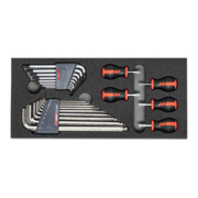 HOLEX Chiavi maschio piegate/Giravite corti, Numero degli utensili: 22