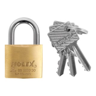 HOLEX Cilinderslot verschillend sluitend, Behuizing-Ø: 30mm