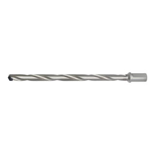 HOLEX Corpo base Codolo cilindrico, con passaggio interno per LR, 12xD, Modello: 25