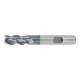 HOLEX Pro Steel fraise d'ébauche en carbure monobloc HPC-1