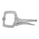 HOLEX Klemgrijptang met beweegbare spanbekken, Totale lengte: 275mm-1