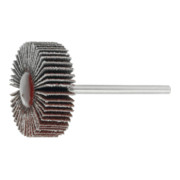 HOLEX Lamellenslijper (A), Korrel 120, Kop-⌀ x kopbreedte: 3/30X5 mm