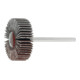 HOLEX Lamellenslijper (A), Korrel 150, Kop-⌀ x kopbreedte: 3/30X10 mm-1