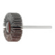 HOLEX Lamellenslijper (A), Korrel 240, Kop-⌀ x kopbreedte: 3/30X5 mm-1