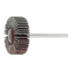 HOLEX Lamellenslijper (A), Korrel 60, Kop-⌀ x kopbreedte: 3/30X10 mm-1