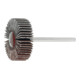 HOLEX Lamellenslijper (A), Korrel 80, Kop-⌀ x kopbreedte: 3/30X10 mm-1