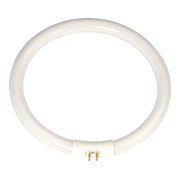 HOLEX Leuchtstoffröhre für Ringlupenleuchte Nr. 491515 175-1