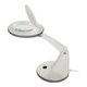 HOLEX ringloeplamp-1