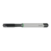 HOLEX Maschio a macchina HSS-E, forma B, vaporizzato