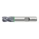 HOLEX ProSteel VHM-Schruppfräser HPC Ø 10 mm-1