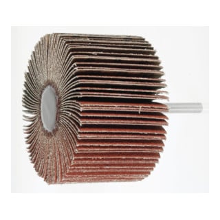 Disque à lamelles HOLEX pour le grain INOX 120