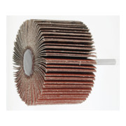 Disque à lamelles HOLEX pour le grain INOX 120