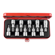 HOLEX Satz Schraubendreher-Einsätze für Torx, 1/2 Zoll Vierkant, 10-teilig-1