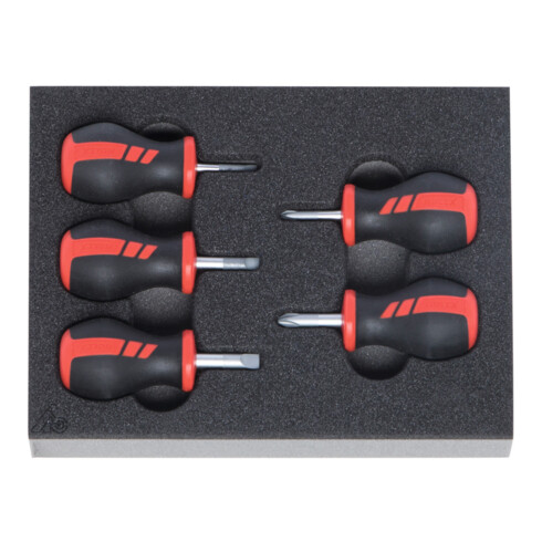 HOLEX Set di Giravite, 5pz.