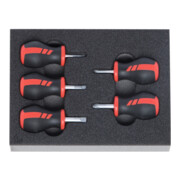 HOLEX Set di Giravite, 5pz.