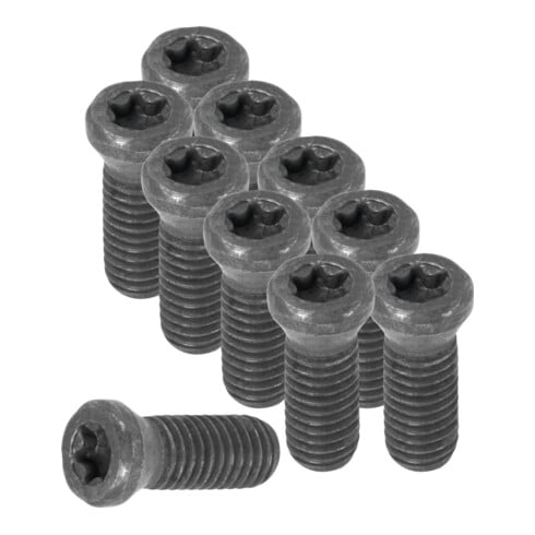 HOLEX Set di viti con impronta Torx 10pz., Trasmissione: 1