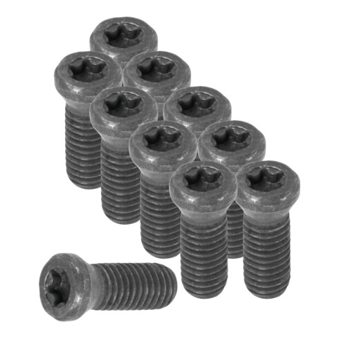 HOLEX Set di viti con impronta Torx 10pz., Trasmissione: 5